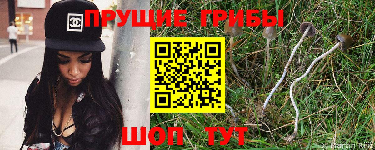 Галлюциногенные грибы Psilocybe  Псилоцибиновые грибы Psilocybe  Вход с VPN  Домодедово 