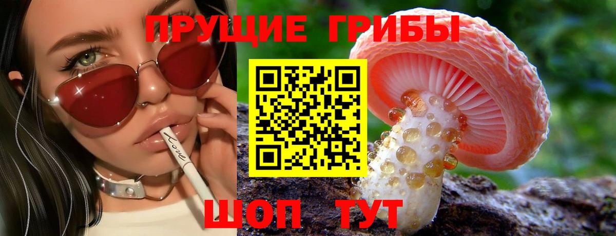 Псилоцибиновые грибы Psilocybe Домодедово